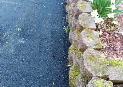 Brick garden border with moss beside a paved path and white flowers growing in mulch.