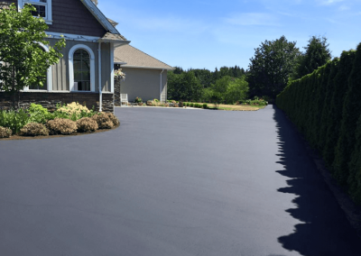 Freshly paved asphalt driveway leading to a house, bordered by shrubs and trees on a sunny day.