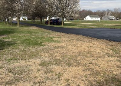 A row of blossoming trees lines a driveway with parked cars; houses and cloudy sky in the background.