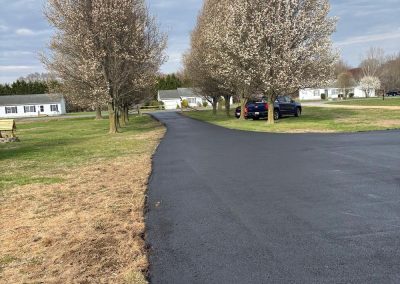 A paved road curves through a park with blooming trees and parked cars under a cloudy sky.